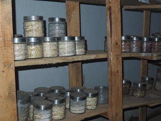 Seed storage at Community Seed Bank in Malawi